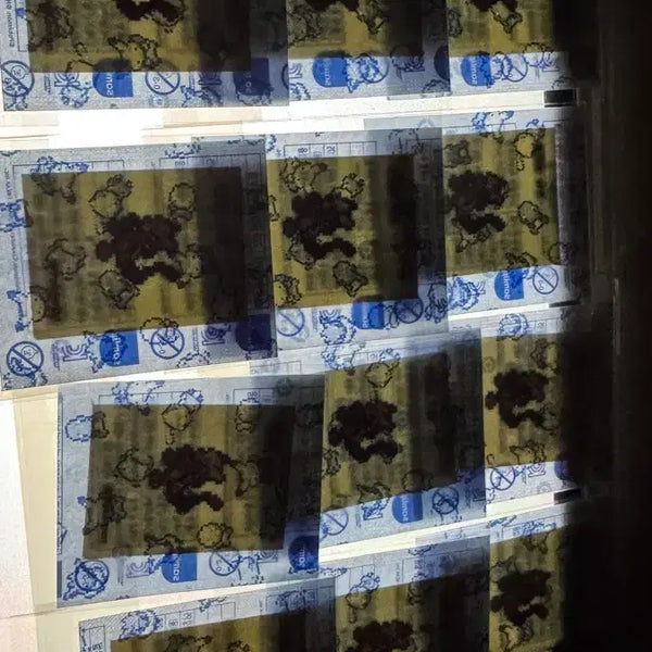 [BUNJANG] Pixel Mutts Sticker / 픽셀 뮤츠 팔아요