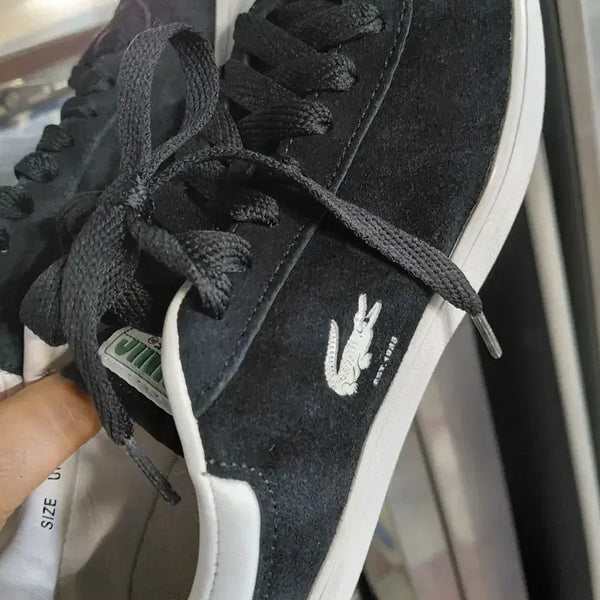 [BUNJANG] Lacoste Suede Sneakers / 라코스떼운동화245,250