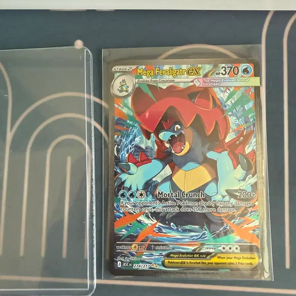 [BUNJANG] Pokemon Feraligatr North American Edition Card / 포켓몬 장크로다일 북미 20에 팔아봅니다