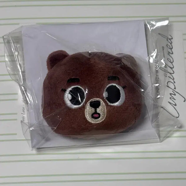 [BUNJANG] Day6 Japan Soft Toy Pin Badge Sungjin / 데이식스 일본 뱃지 - 방(소프트토이 뱃찌)