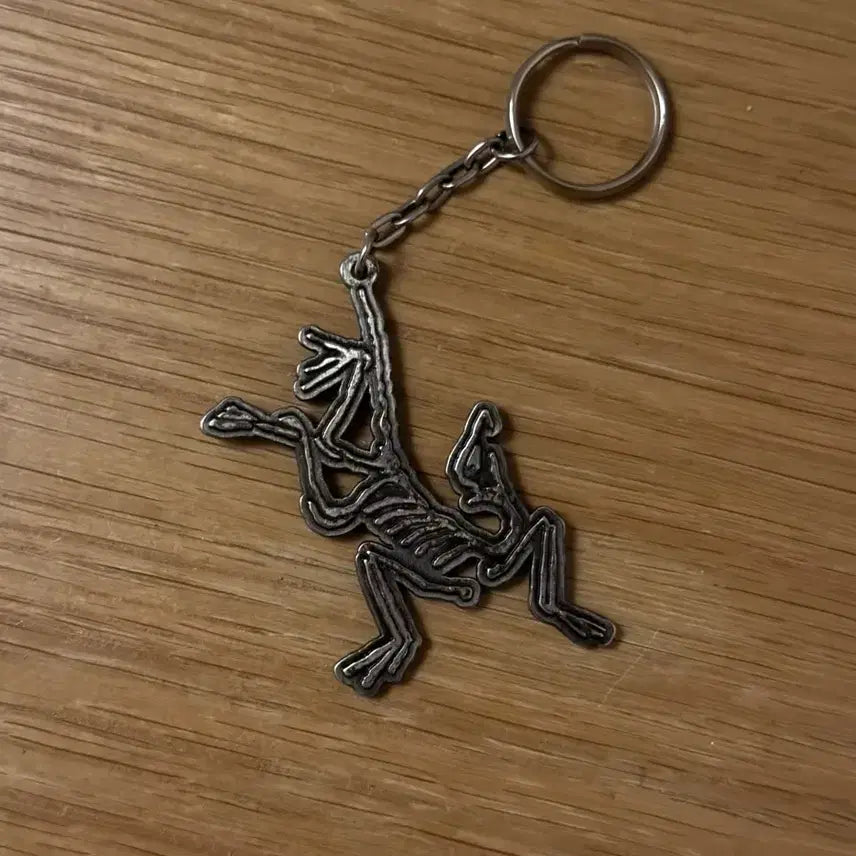 [BUNJANG] Arc'teryx Keyring / arcteryx 아크테릭스 키링 열쇠고리