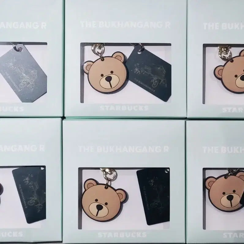 [BUNJANG] Starbucks The Book Hangang Rechargeable Name Tag Bearista Keychain / 스타벅스 더북한강R 카드 충전식 네임택 베어리스타 키체인 키링 박스미개봉