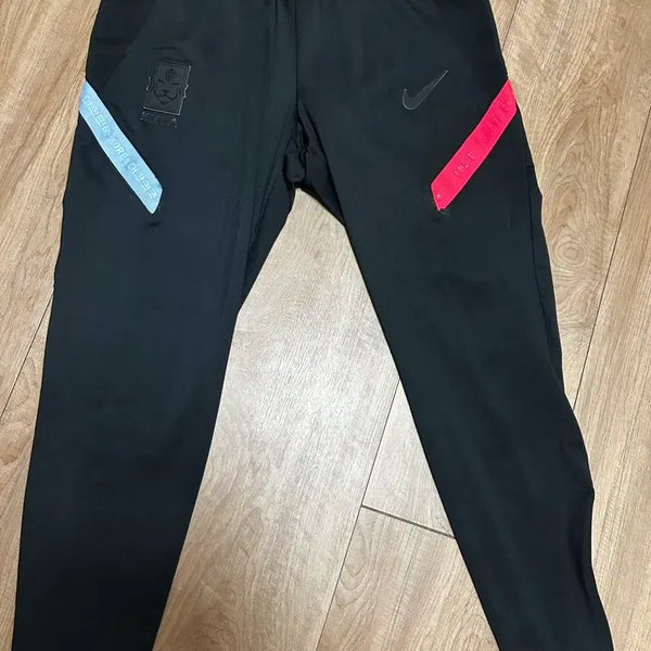 [BUNJANG] Nike National Team Training Pants / 국가대표(대표님) 나이키 트레이닝 팬츠
