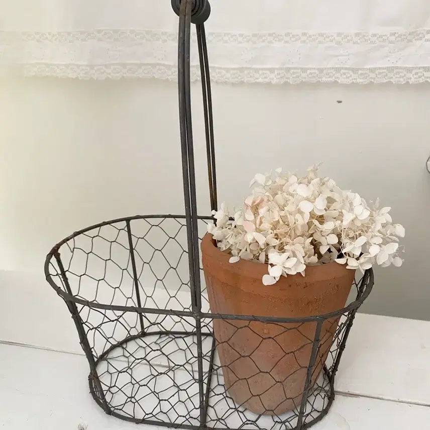 [BUNJANG] French Vintage Iron Wire Basket / 프랑스 빈티지 철제 와이어 바구니