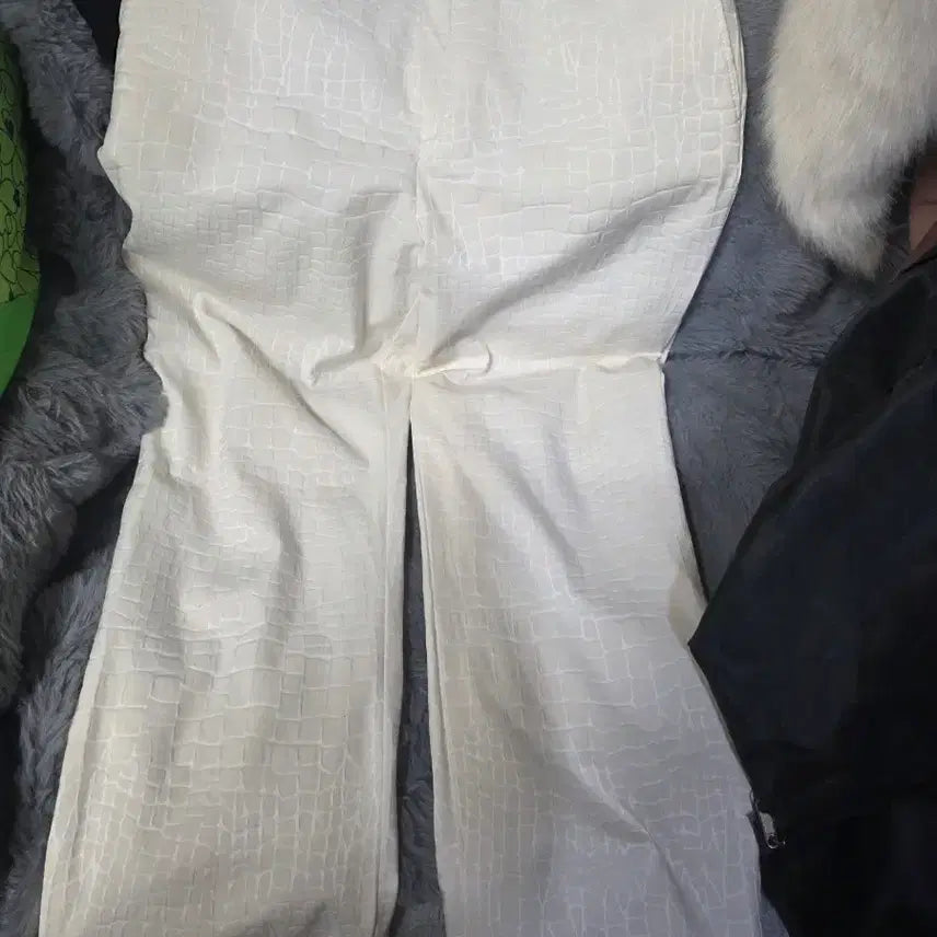 [BUNJANG] Hiroko Koshino Crocodile Pattern Slacks - Beige, Size 40 / 77히로코코시노악어 무늬패턴 여자 팬츠 40 실착용5회  40만원