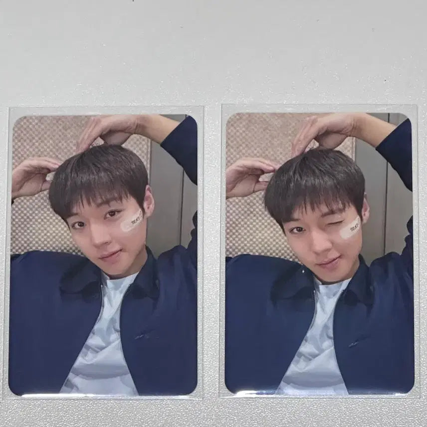 [BUNJANG] Park Jihoon WithMUU 2nd Face-to-Face Fan Sign POB Photocard Set / 박지훈 위드뮤 2차대면팬싸 미공포 포카 set