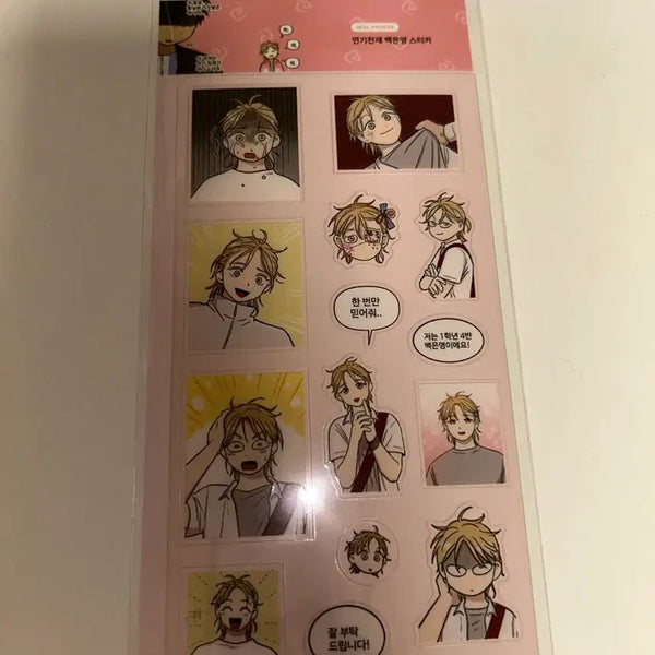 [BUNJANG] Baek Eun Young "The Great Deferrer" Sticker Set / 집이없어 팝업 연기천재 백은영 스티커