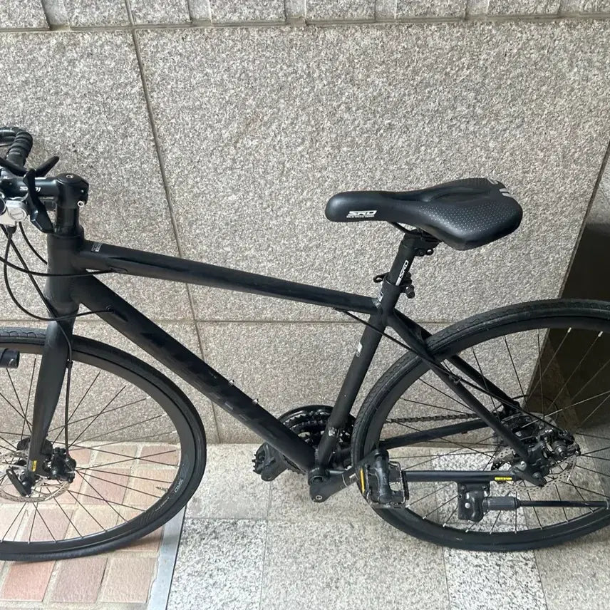 [BUNJANG] Aeris Entry-Level Road Bike (S Size) / 프로마스터 에어리스 로드자전거(급처)