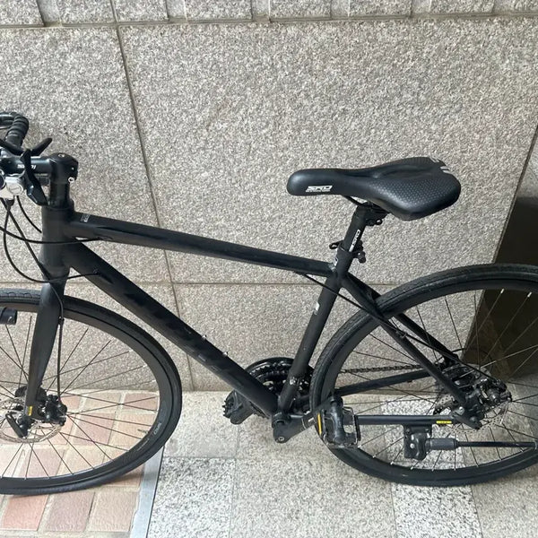 [BUNJANG] Aeris Entry-Level Road Bike (S Size) / 프로마스터 에어리스 로드자전거(급처)