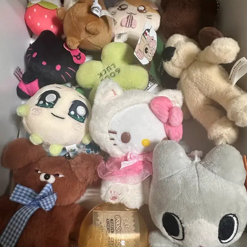 [BUNJANG] Doll Keychain Bundle Set / 인형키링 일괄판매