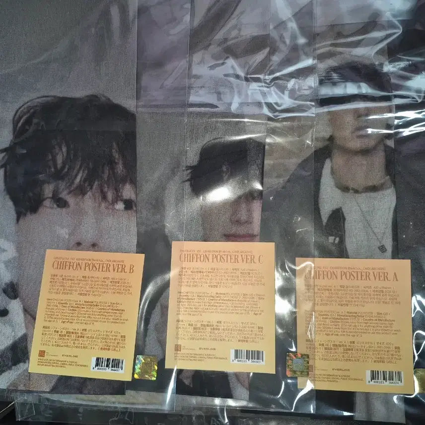 [BUNJANG] Choi Rip-woo Fredr1ck Choi ARCHIVE Fabric Chiffon Poster Set / 최립우 fredr1ck choi ARCHIVE 패브릭 쉬폰 포스터 세트