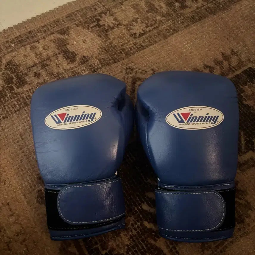 [BUNJANG] Winning 8oz Boxing Gloves (Blue) / 위닝 8온스 글러브 (블루색상)