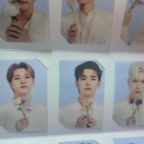 [BUNJANG] ZB1 Photocard / 제베원 포카