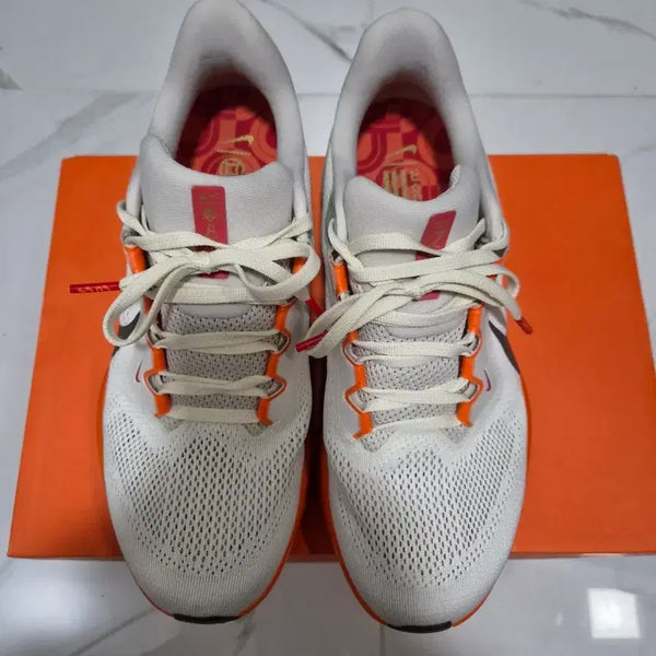[BUNJANG] Nike Pegasus 41 Running Shoes (260mm) / 나이키 페가수스41 (260)