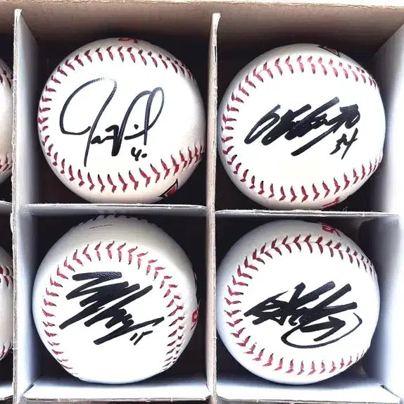[BUNJANG] Kia Tigers Signed Baseball Bundle Set / 올러, 네일, 양현종, 성영탁, 김도영, 박재현, 김선빈 친필 싸인볼