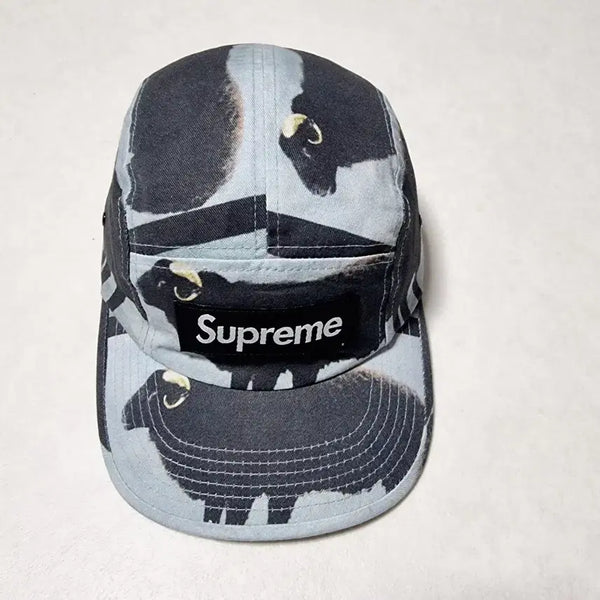 [BUNJANG] Supreme x Damien Hirst Box Logo Camp Cap Black / 슈프림 박스로고 캠프캡 x 데미안 허스트 블랙 - 25SS
