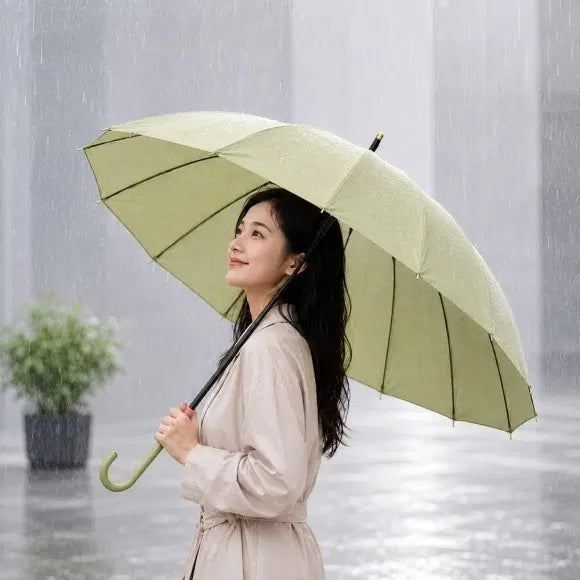 [BUNJANG] Durable Automatic Long Umbrella / 튼튼 자동 장우산