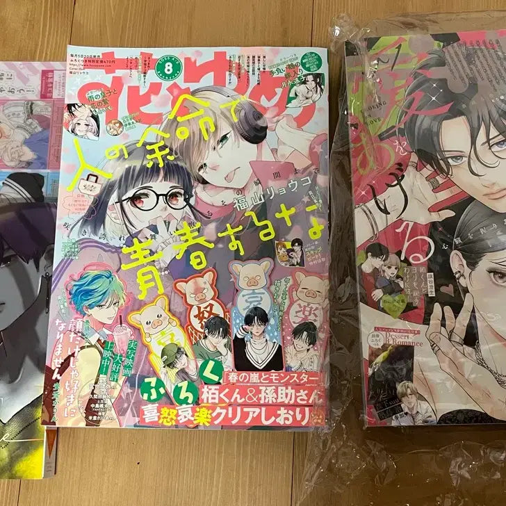 [BUNJANG] Dezato & Hanatoyume Magazine Bundle / 일괄o) 하나토유메와 데자토 잡지