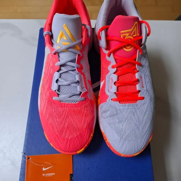 [BUNJANG] Nike Giannis Immortality 2 Basketball Shoes Size 285 / [285] 야니스 이모탈리티2