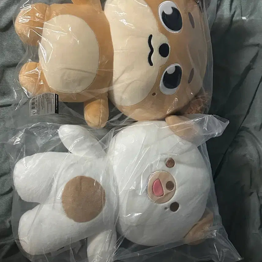 [BUNJANG] Xdinary Heroes Giant Don & Petit Mal Don Plush Set with Photocard / 자이언트 돈, 쁘멀 돈 판매합니다(포토카드o)