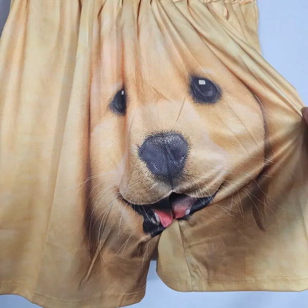 [BUNJANG] Baby Retriever Print Shorts / 아기리트리버 프린트 반바지
