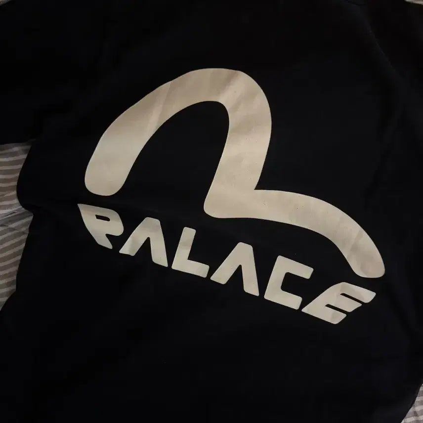 [BUNJANG] Palace Evisu Seagull T-Shirt Black XL / 팔라스 에비수 시걸 티셔츠 블랙 xl 사이즈
