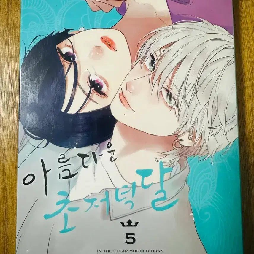 [BUNJANG] Beautiful Early Evening Moon Vol. 5 Limited Edition (Sealed) / (쿨거래)아름다운 초저녁달 5권 한정판(미개봉)