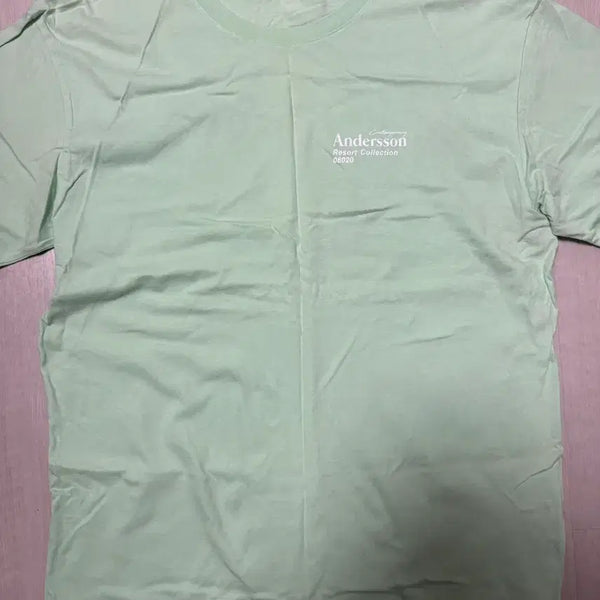 [BUNJANG] Andersson Bell Logo T-shirt Mint L / 앤더슨벨 로고 반팔티 민트 L