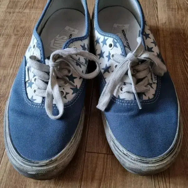 [BUNJANG] Vans x Bianca Chandon #8.5 (260) Sneakers / 반스 비앙카샹동 #8.5 260 VANS