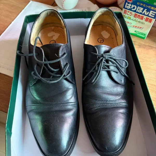 [BUNJANG] Golden Lion Men's Leather Dress Shoes - Black, 250mm / 남성 가죽 구두