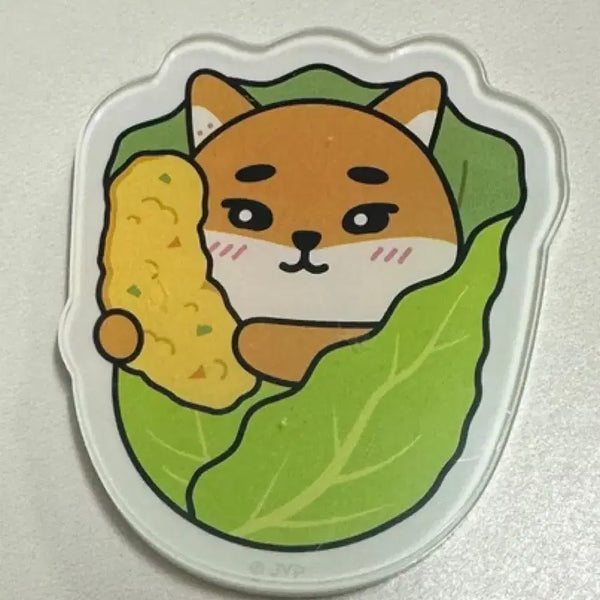 [BUNJANG] Day6 Magnet Lettuce Case / 데이식스 마그넷 상추케