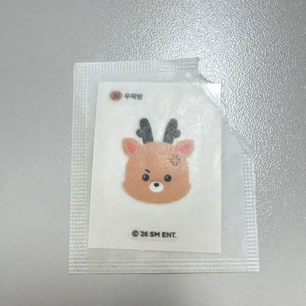[BUNJANG] RIIZE Woorakbam Sticker Set / 라이즈 우락밤 띠부씰 스티커