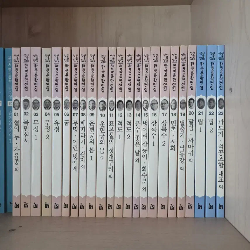 [BUNJANG] Seoul National University Selected Korean Literature Collection Complete Set / 서울대선정 한국문학전집 전권