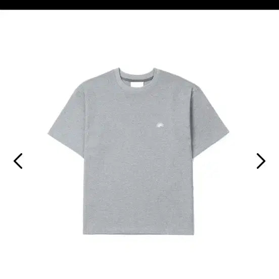 [BUNJANG] Berlin Photobook Oversized T-Shirt - Grey / 베를린포토북 반팔 그레이 003 OVERVIEW TEE