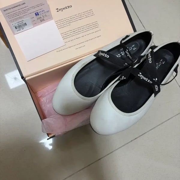 [BUNJANG] Repetto Joan Flat Shoes (Size 250-255 Recommended) / 레페토 플랫 조아나 (250-255추천)