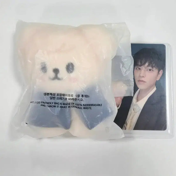 [BUNJANG] Stray Kids Seungmin Magic School 10cm Plush / SKZ 스키즈 스키주 매직스쿨 10cm 퍼핌 승민