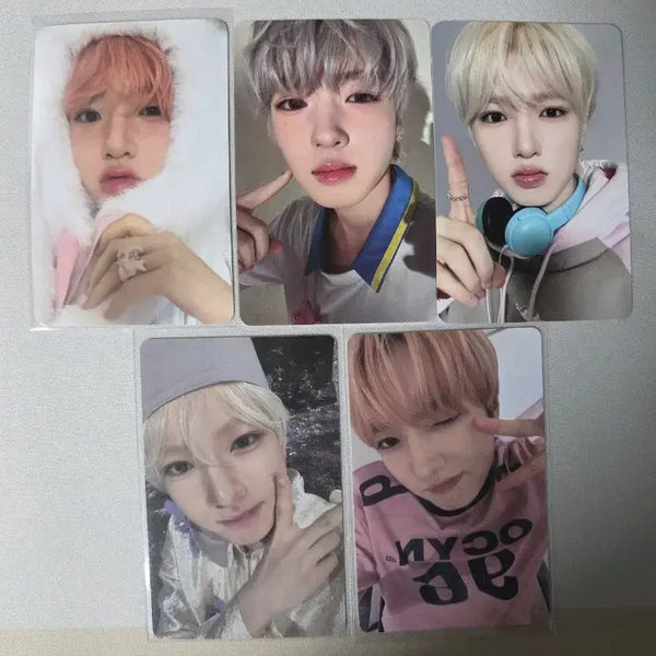 [BUNJANG] NCT WISH Sakuya Rabbit Photocard (Signature Pop-up 'O to 1'2) / 엔시티위시 사쿠야 시그 팝업 오투럽 토끼포카
