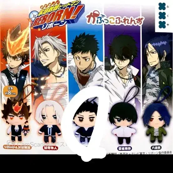 [BUNJANG] Katekyo Hitman Reborn! Capuco Friends Plush Gacha Yamamoto / 가히리 카푸코 프렌즈 누이가챠 야마모토