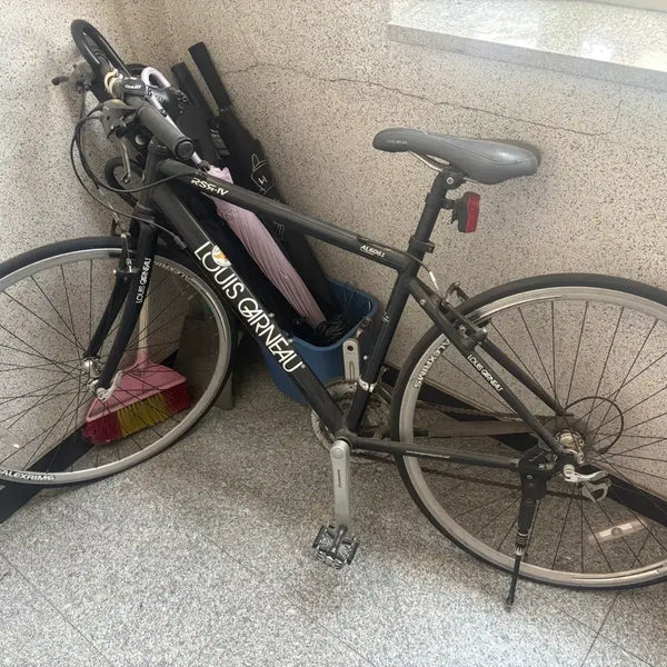 [BUNJANG] Louis Vuitton RsR4 Bicycle / 루이가르노 RsR4 자전거