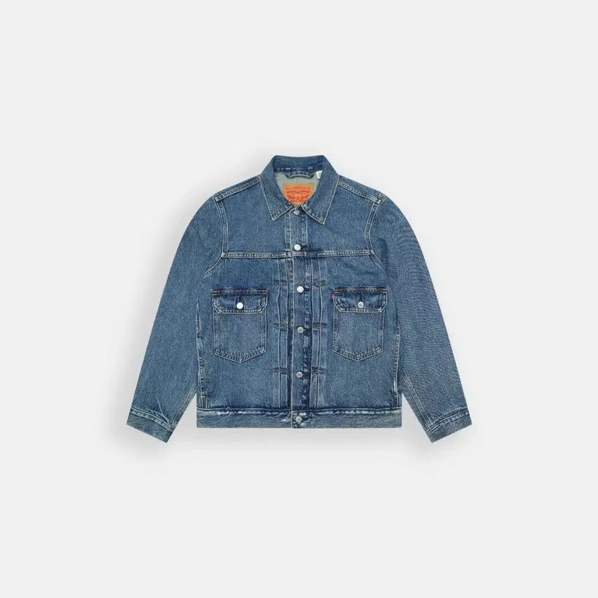 [BUNJANG] Levi's Type 2 Trucker Jacket (L) / (L) 리바이스 타입2 트러커 자켓