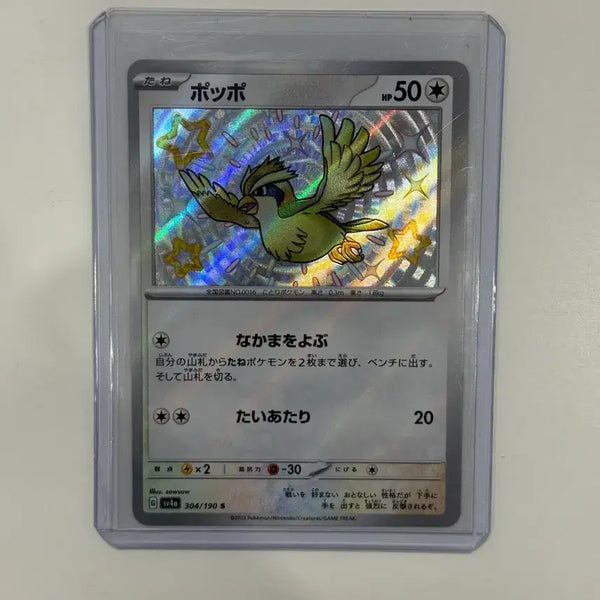 [BUNJANG] Pokemon Japanese Shiny Pidgey and Other Shiny Cards / 포켓몬카드 일판 이로치 구구, 다른 이로치 카드들 팝니다
