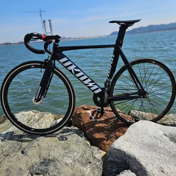 [BUNJANG] Unknown Singularity 2 Bike Seat / 언노운 싱귤2