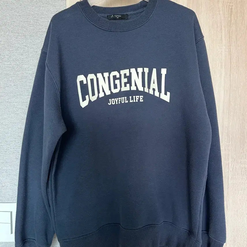 [BUNJANG] TOPTEN Sweatshirt Set / [L] 탑텐 맨투맨 2개