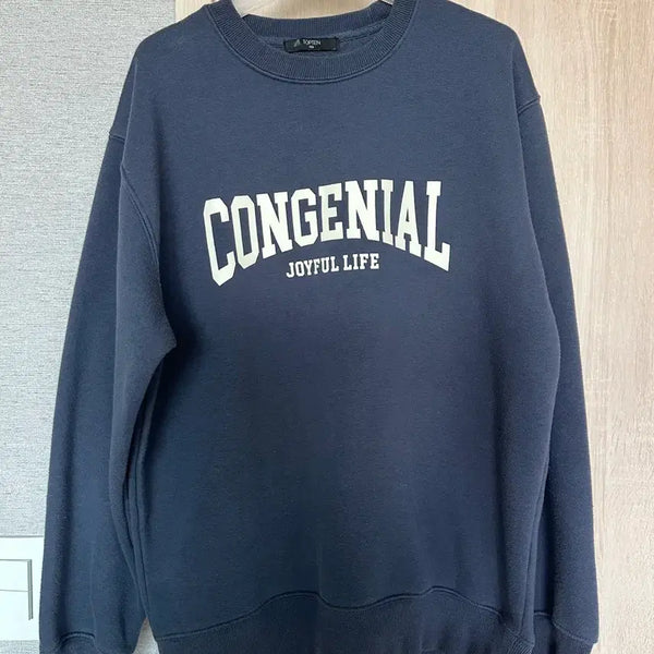 [BUNJANG] TOPTEN Sweatshirt Set / [L] 탑텐 맨투맨 2개