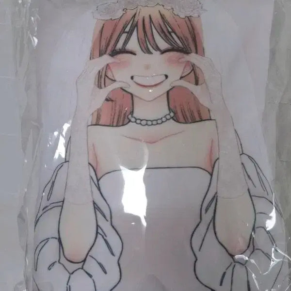 [BUNJANG] My Life as Inukai-san's Dog Vol. 15 Limited Edition Mini Cushion / 그 비스크돌은 사랑을 한다 그비돌 15권 한정판 특전