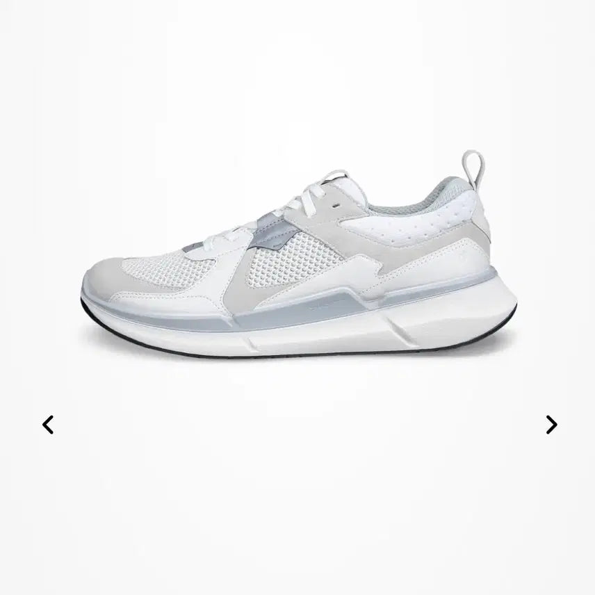 [BUNJANG] Ecco Biom 2.2 Suede Sneakers / ecco 에코 바이옴 2.2 스웨이드 270