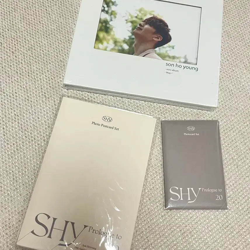[BUNJANG] g.o.d. Danny Ahn 20th Anniversary Exhibition Photocard & Postcard Mini Album Bundle Set (Sealed) / 지오디 손호영 굿즈 포카&엽서 미니앨범 미개봉 일괄