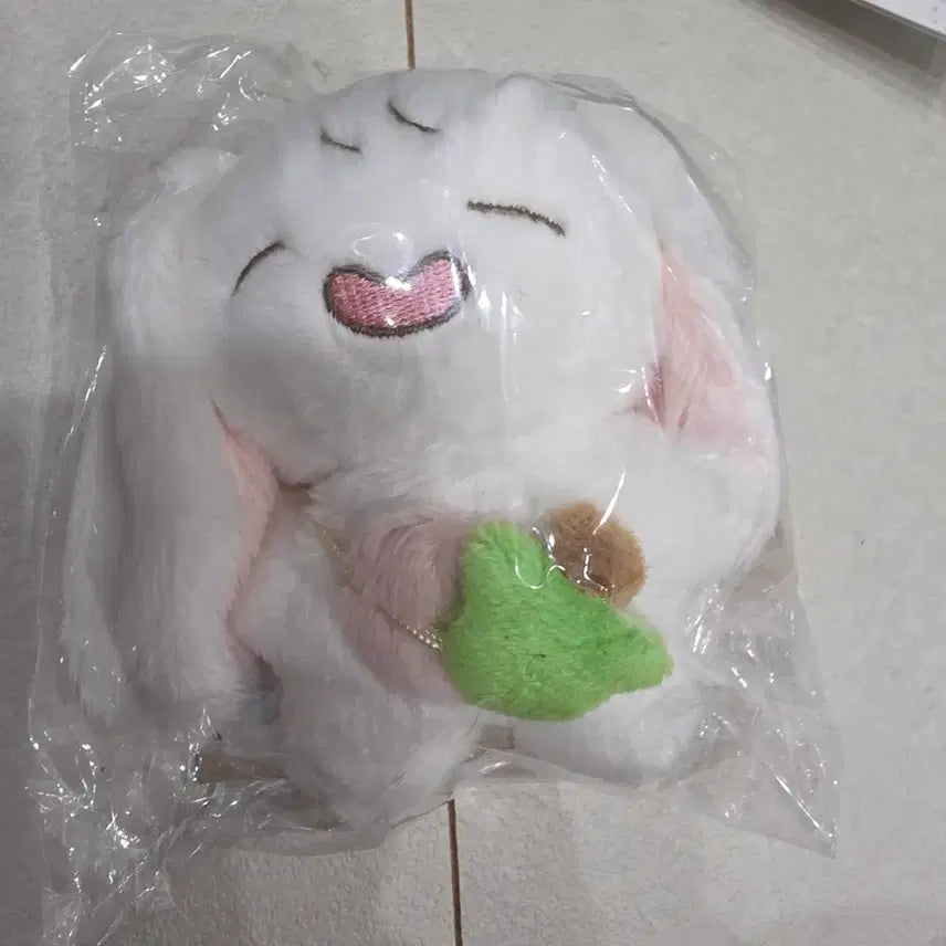 [BUNJANG] Park Bo Young 'Bbo You' Fan Meeting Official Goods / 박보영 팬미팅 뽀유 미개봉 새상품