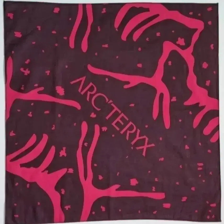 [BUNJANG] Arc'teryx Bandana Scarf / 아크테릭스 반다나 손수건 스카프