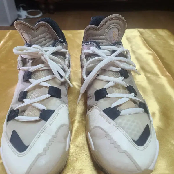 [BUNJANG] Nike Zoom Freak 3 Basketball Shoes Beige/Black / 나이키 줌프릭 3 농구화 베이지/블랙 265:상태는최상입니다